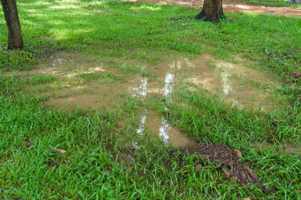 Cost of Storm Water Drainage Service in Oconomowoc