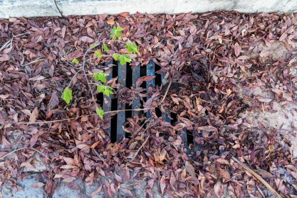 Cost of Yard Drain Unclogging in Oconomowoc