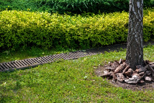 Cost of Residential Landscape Drainage in Oconomowoc