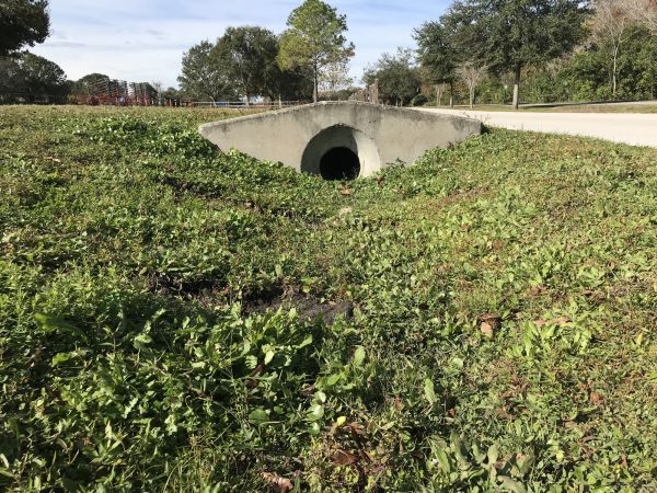 Cost of Swale Drainage Service in Oconomowoc